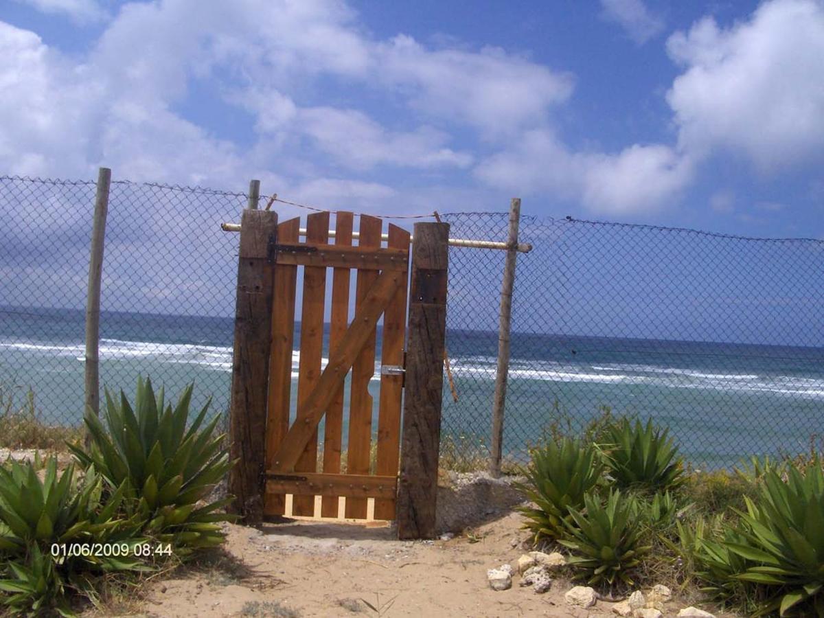 Villa Malyma Beach Front 10,000M2 Botanic Garden Zahora Ngoại thất bức ảnh