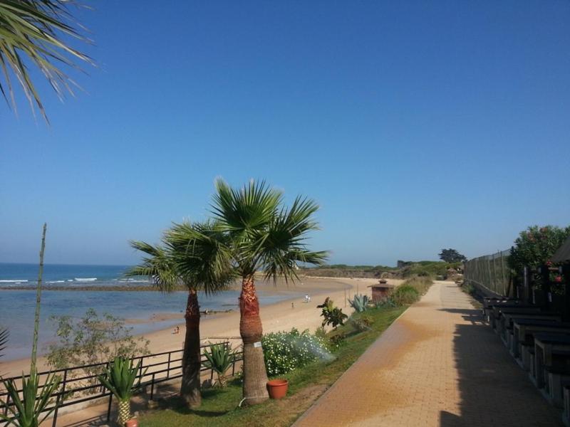 Villa Malyma Beach Front 10,000M2 Botanic Garden Zahora Ngoại thất bức ảnh